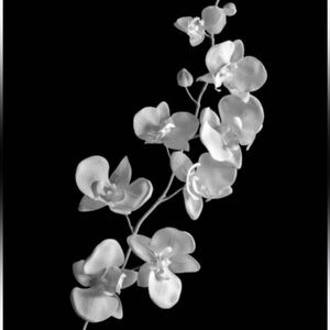 Min Purchase is $10.00 . Thank you